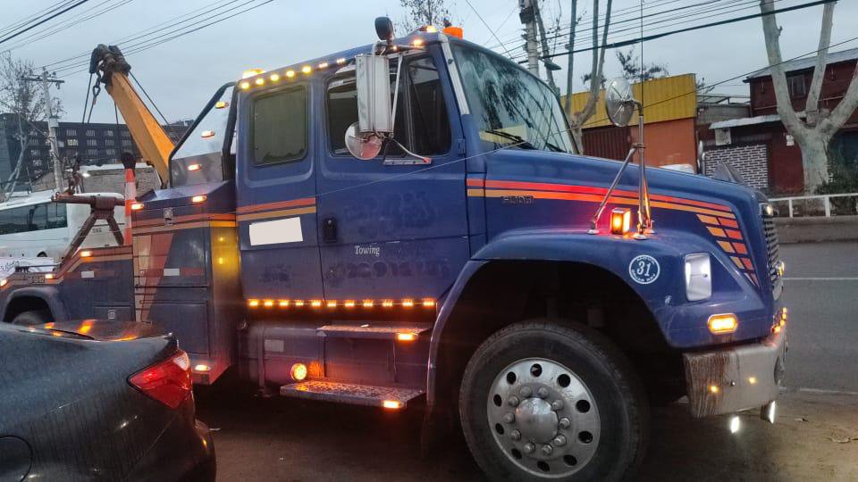 Servicio Profesional